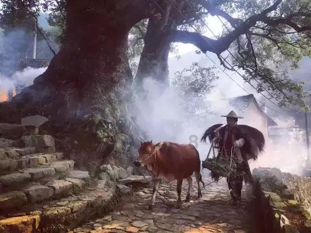公主风的装扮